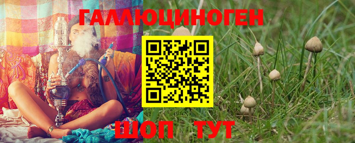 Галлюциногенные грибы прущие грибы Нягань